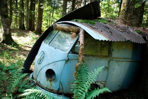 Спасение забытого в лесу Volkswagen T1 1955 года