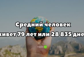 Что говорит статистика о твоей жизни?