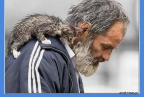 Вознаграждение