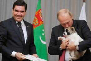 Животные, которых дарили президенту Владимиру Путину