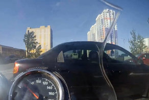 Ехал бы тихо - успел бы затормозить