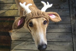 Подборка смешных картинок и комментариев