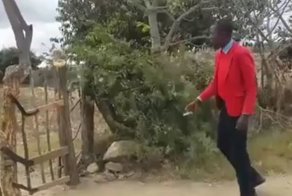 Современные технологии добрались и до Африки