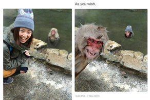 Не нравится фотография? Не вопрос, переделаю