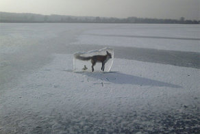 Природа - жуткая и пугающая