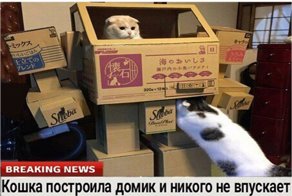 Доброжелательные новости, которые мы заслуживаем
