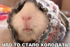 Очередная порция картинок с подписями