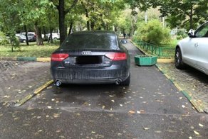 Женщину отучили парковаться в неположенном месте
