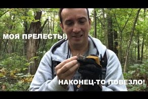 ТАКОГО Я ЕЩЁ НЕ НАХОДИЛ