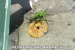 Очередная порция картинок с подписями