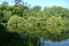 Спасите парк Покровское-Стрешнево!