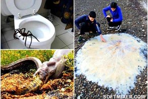 Чудеса Австралии, от которых мороз по коже
