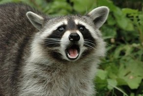 Новости Сообществ