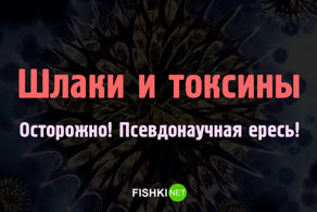 Очищение от шлаков: наглядно об уровне маразма