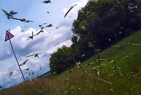 Сон за рулем автомобиля