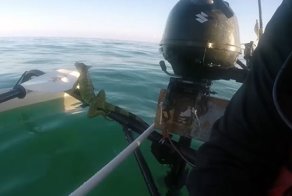 Рыбак на байдарке спас игуану, которую течением унесло в открытое море