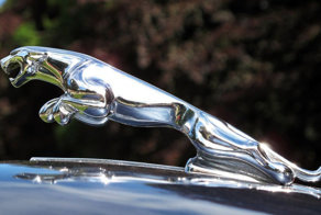 История создания эмблемы Jaguar