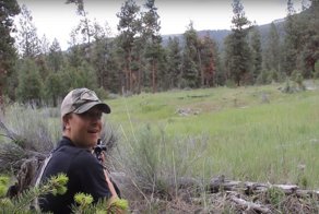 Вы когда-нибудь слышали крик пумы? Пробирает до мурашек!