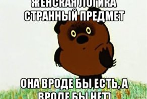 Женская логика