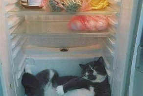 Что такое хорошо, а что такое плохо