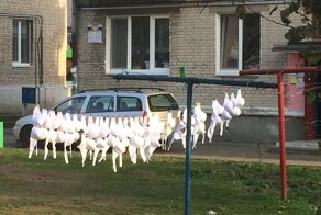 Стыдно, у кого видно: необычные фотографии людей без комплексов