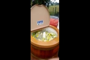 Огромный миксер для алкогольных коктейлей 