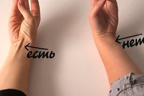 Мышца, которая есть только у 15% населения планеты