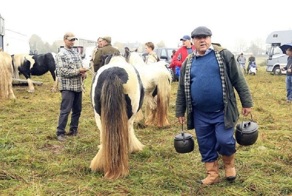 Цыганская ярмарка: все как 500 лет назад!