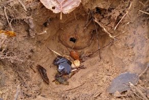 Еще одно возвращенное имя солдата ВОВ - Сухих Павел Андреевич