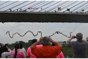 245 человек одновременно прыгнули с моста и установили новый мировой рекорд