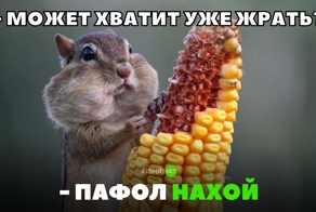 Люблю повеселиться, особенно пожрать