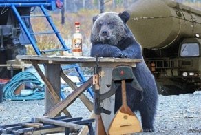 Пользователи показали «всю Россию в одном фото»