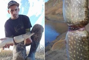 Рыба "вросла" в этикетку бутылки