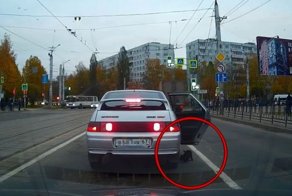 В Смоленске котенка выбросили прямо на проезжую часть