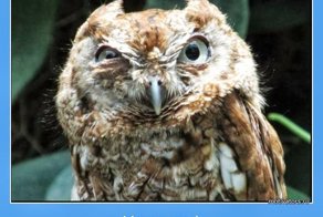 Лучшая мотивация