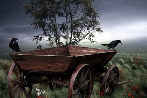 Если не за деньги, то как ?