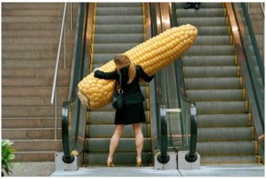 У Ивана Кузина большая кукурузина, или  роль кукурузы в жизни и творчестве русского народа