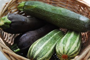 Цукинни поставил на уши город в Германии