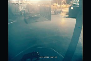 "Слишком стар для этого дерьма": из израильского зоопарка попытался уйти гиппопотам