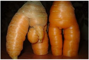 Мутатор надо мыть!