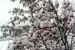 Старые файлы, старые фотографии