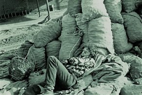 Особенности науки в СССР или аспиранты на картошке