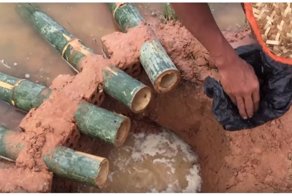 Эффектная ловушка из бамбука для ленивой рыбалки на берегу водоёма