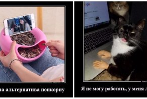 Свежая подборка демотиваторов, которые поднимут вам настроение