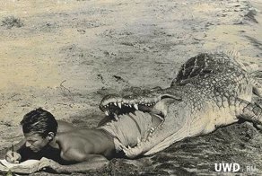 Старость подкралась незаметно?