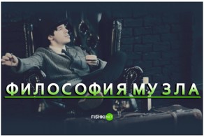 Песни, в которых есть ответы на все вопросы