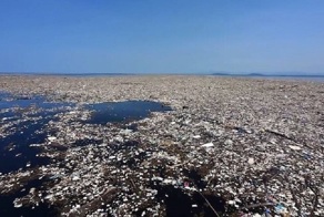 Море мусора захлестнуло Карибы