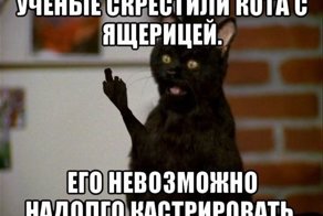 Очередная порция картинок с подписями