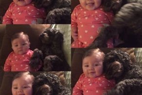 Во время пожара пёс бросился в огонь, что бы спасти свою 8 месячную хозяйку