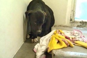 Она лежала и смотрела в пол, ожидая врачей с последним уколом